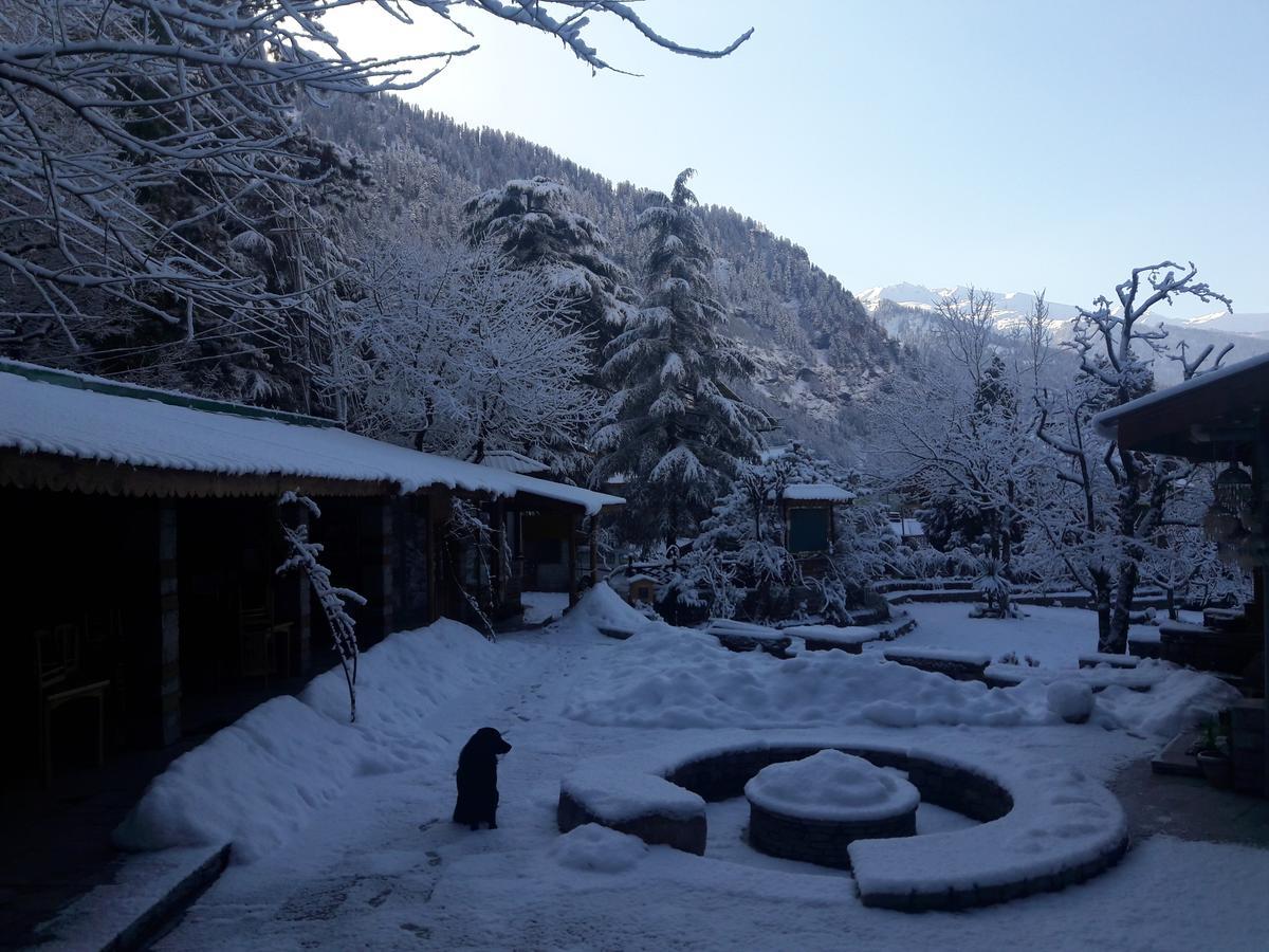 Johnson Lodge & Spa Manāli Екстериор снимка